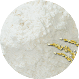 Bio Reisprotein Pulver Reisprotein Pulver